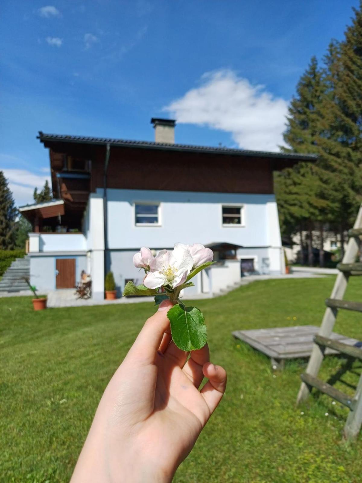 Appartements Am See Neukirchen am Grossvenediger Bagian luar foto